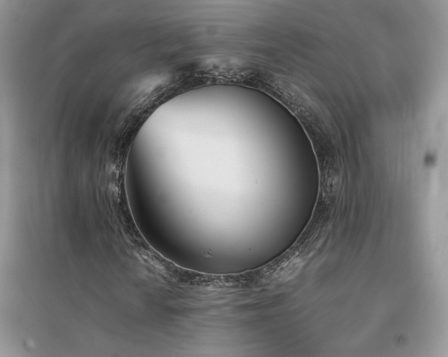 X0000094971010200711291458