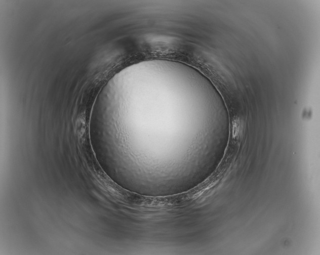 X0000094971011200711291458