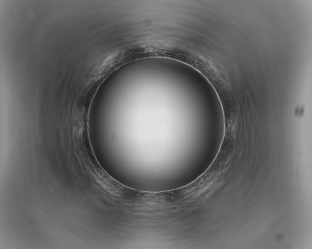 X0000094971012200711291458