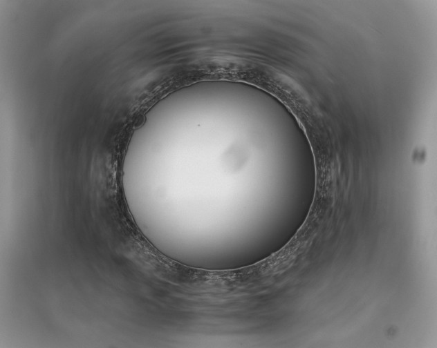 X0000094971013200711291458