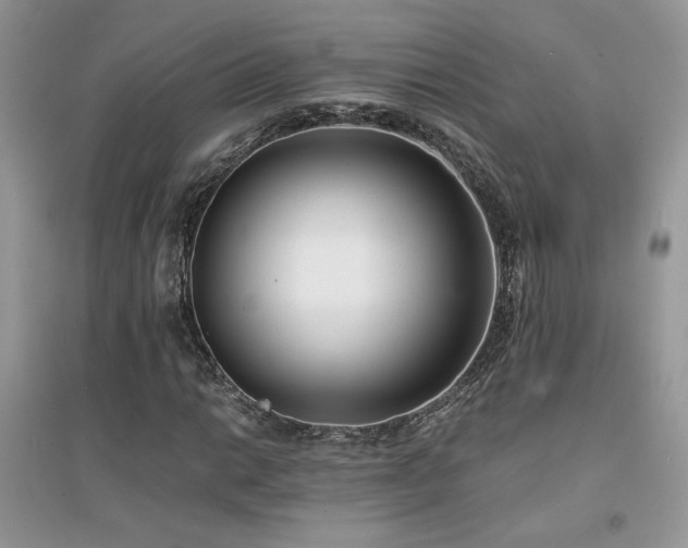 X0000094971014200711291458