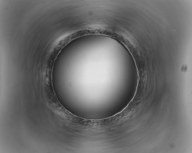 X0000094971016200711291458