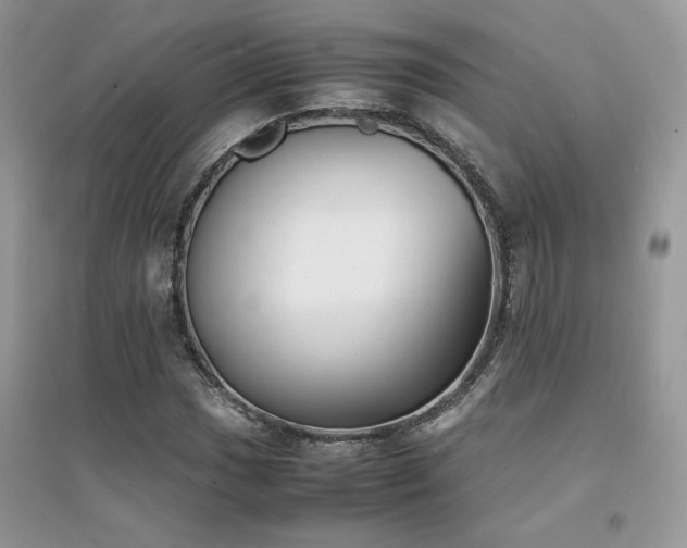X0000094971017200711291458