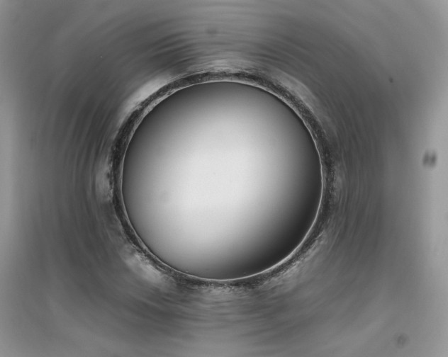 X0000094971018200711291458