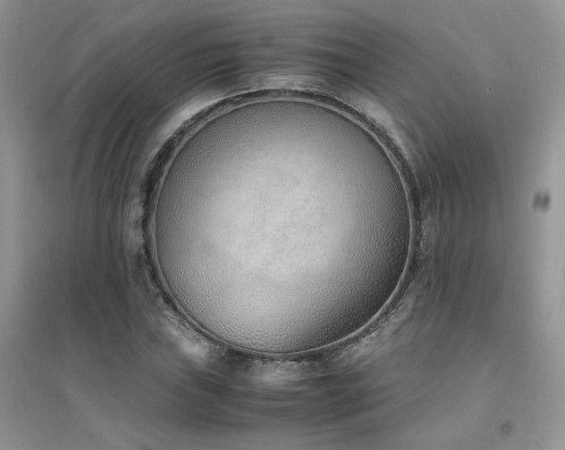 X0000094971019200711291458