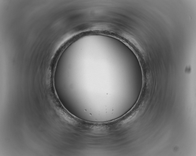 X0000094971021200711291458