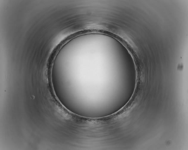 X0000094971022200711291458