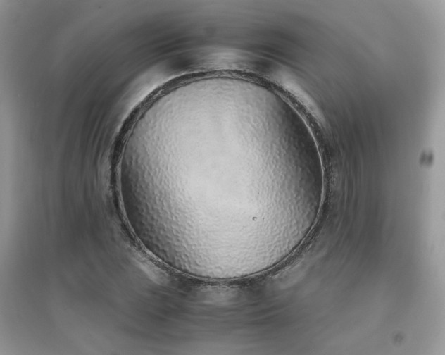 X0000094971023200711291458