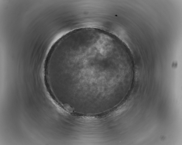 X0000094971024200711291458