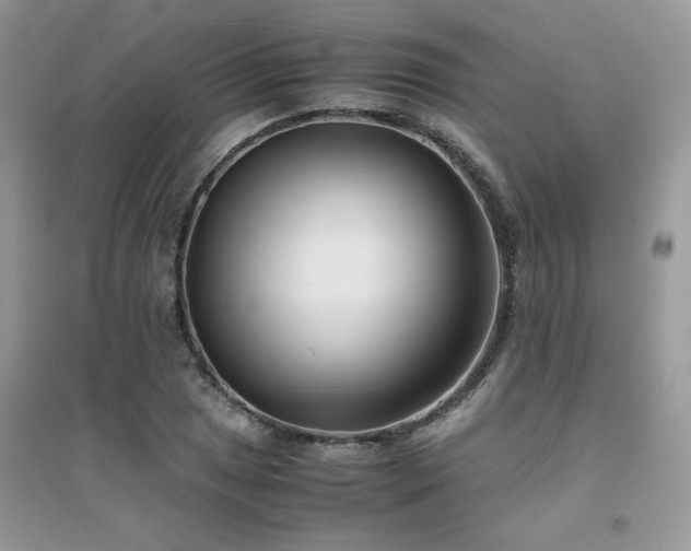 X0000094971025200711291458