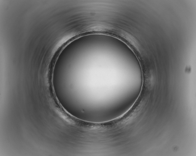X0000094971026200711291459