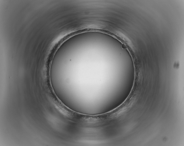 X0000094971027200711291459