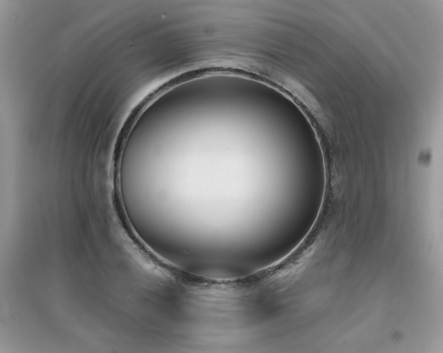 X0000094971028200711291459