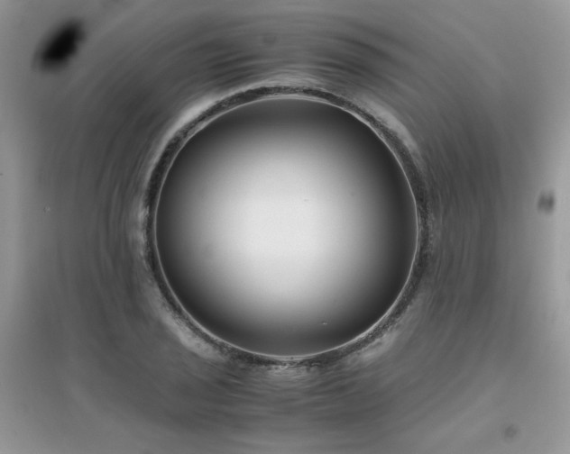 X0000094971029200711291459