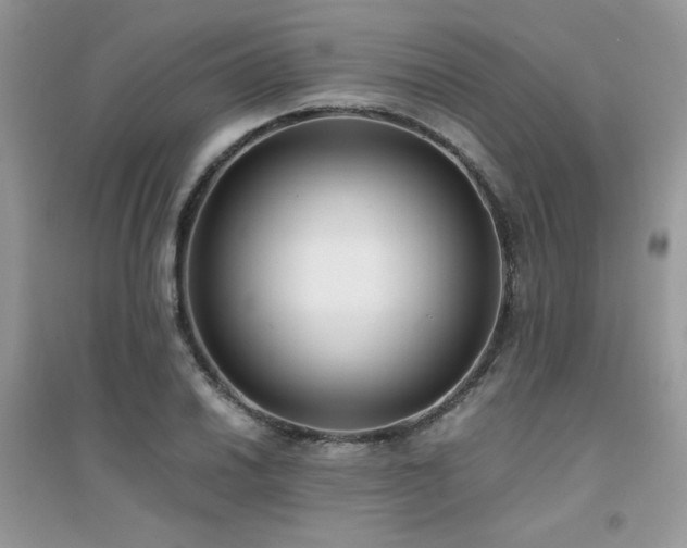 X0000094971030200711291459