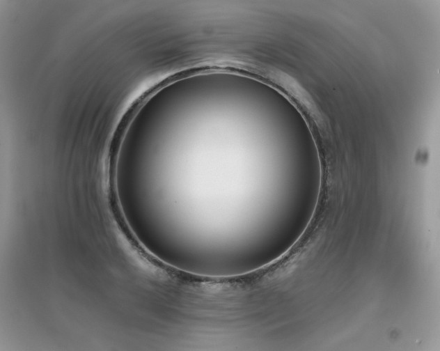 X0000094971032200711291459
