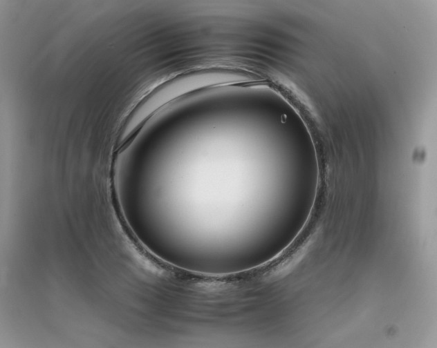 X0000094971033200711291459