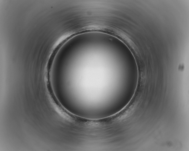 X0000094971034200711291459