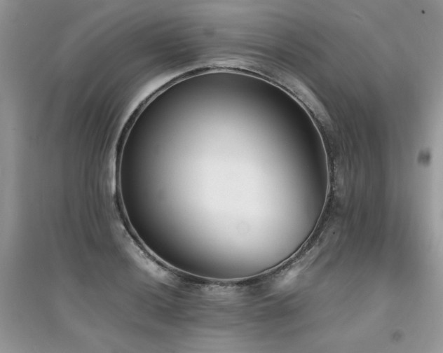 X0000094971036200711291459