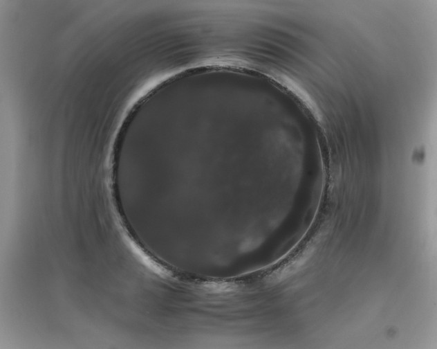 X0000094971037200711291459