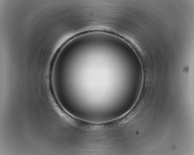 X0000094971038200711291459