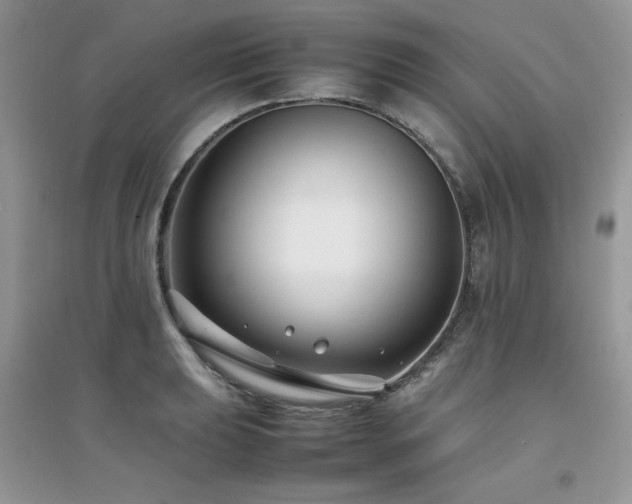 X0000094971039200711291459