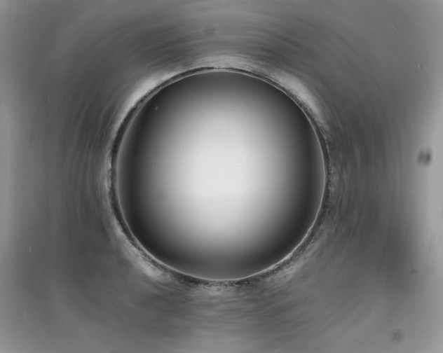 X0000094971040200711291459