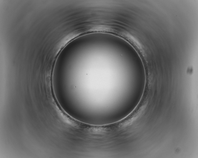 X0000094971041200711291459