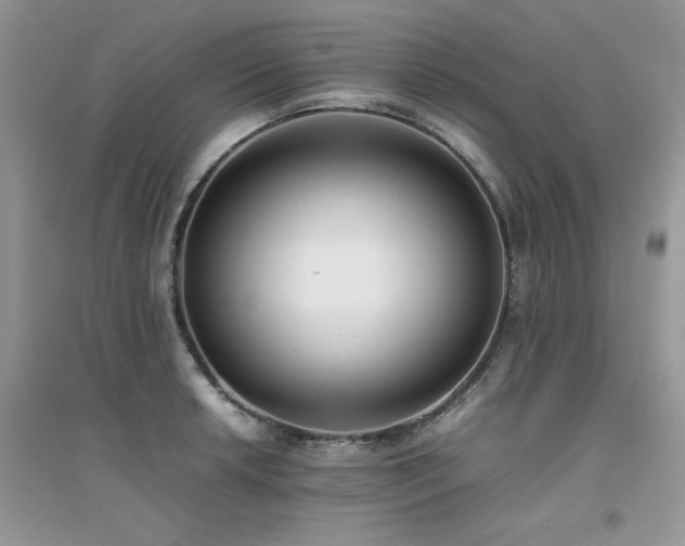 X0000094971042200711291459