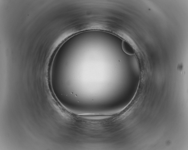 X0000094971043200711291459