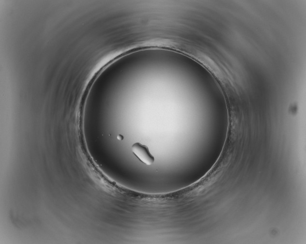 X0000094971044200711291459