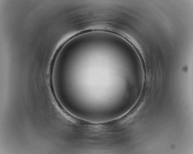 X0000094971045200711291459