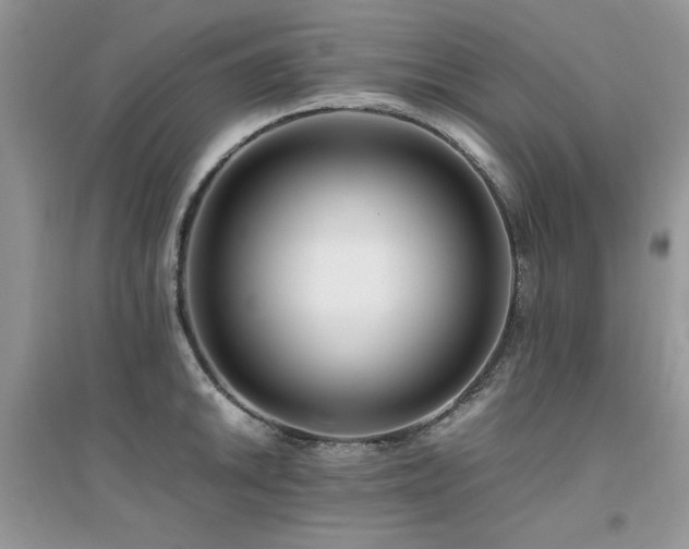 X0000094971046200711291459