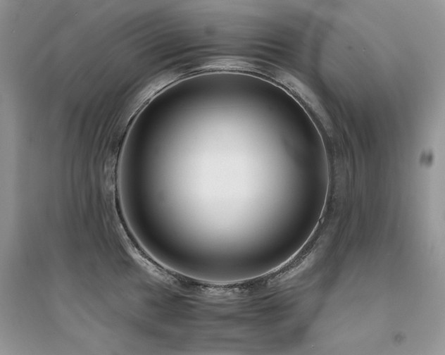 X0000094971049200711291459