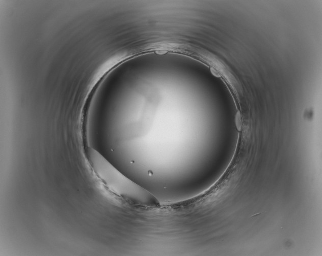 X0000094971050200711291459
