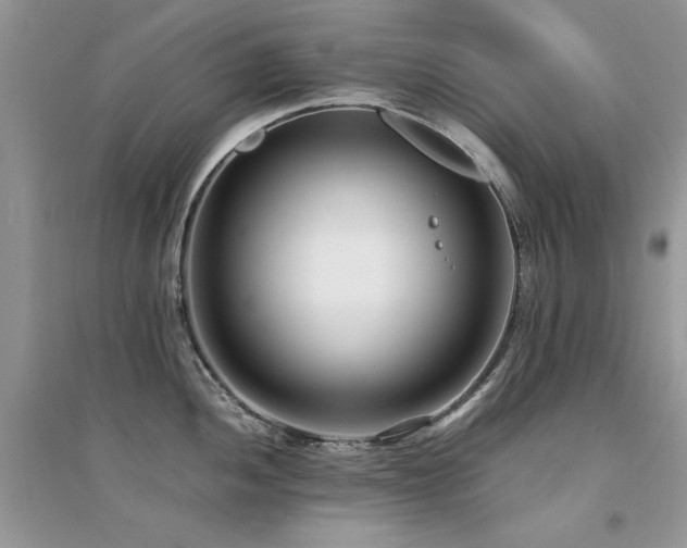 X0000094971052200711291459