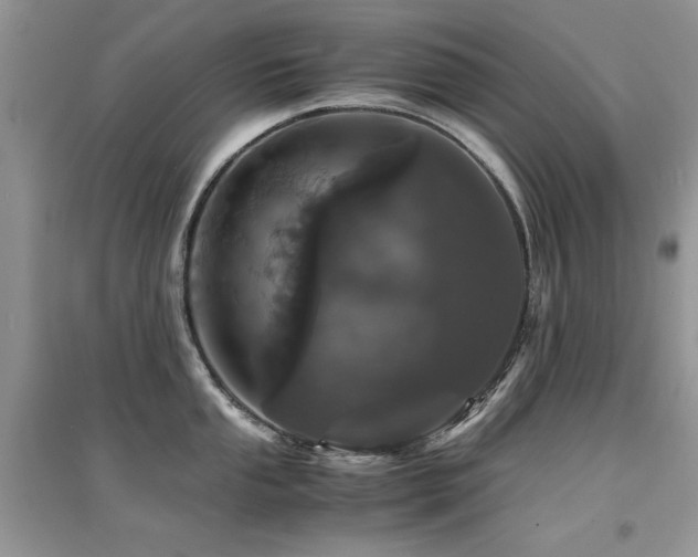 X0000094971053200711291459