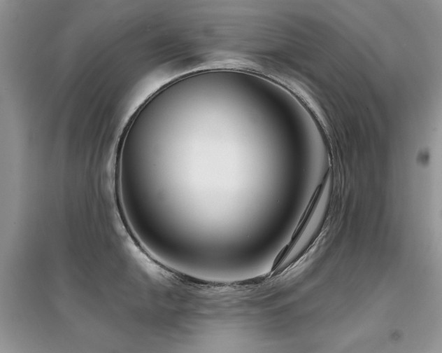 X0000094971054200711291459