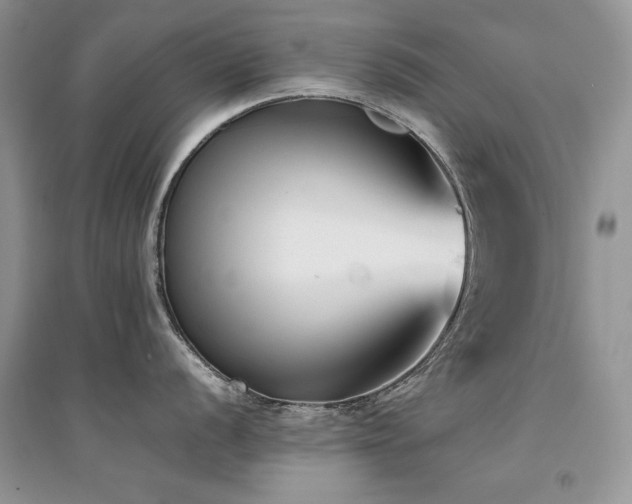 X0000094971056200711291459