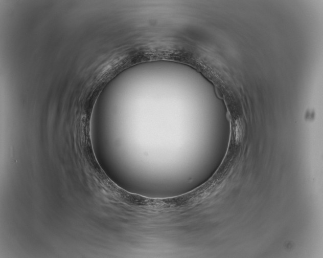 X0000094971059200711291458
