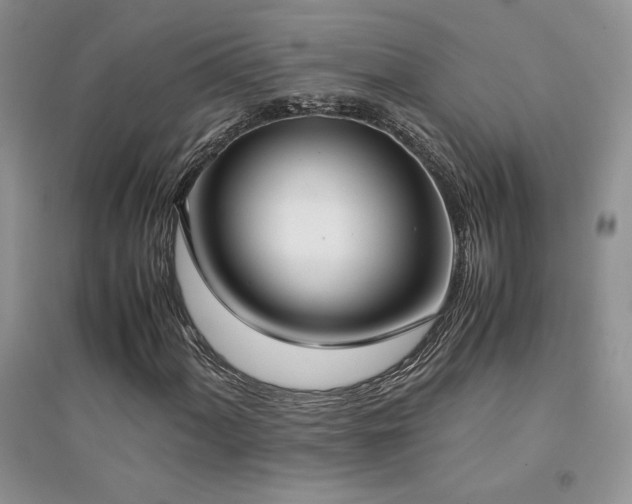 X0000094971060200711291458