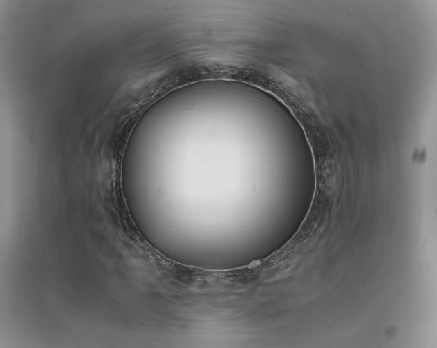X0000094971061200711291458