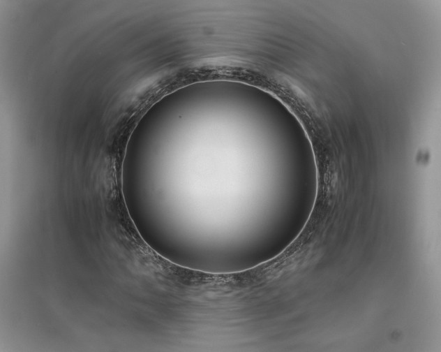 X0000094971062200711291458
