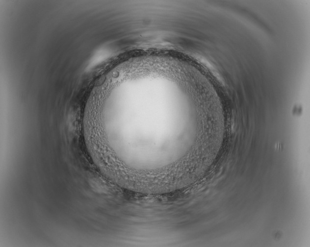 X0000094971063200711291458