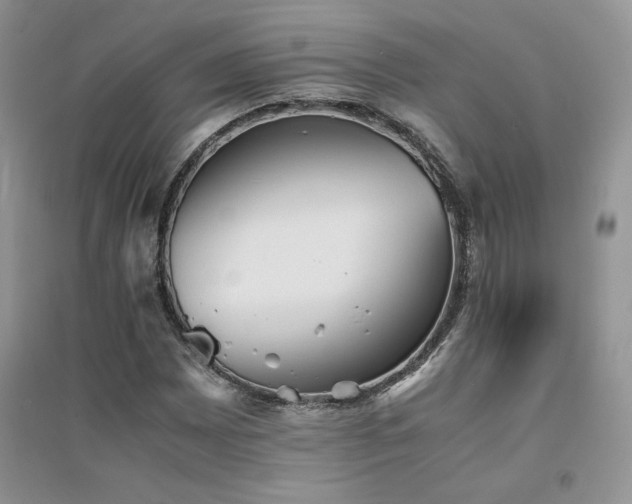 X0000094971065200711291458