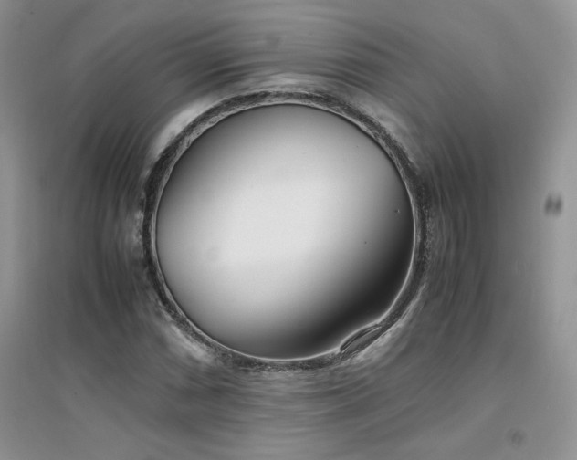 X0000094971066200711291458