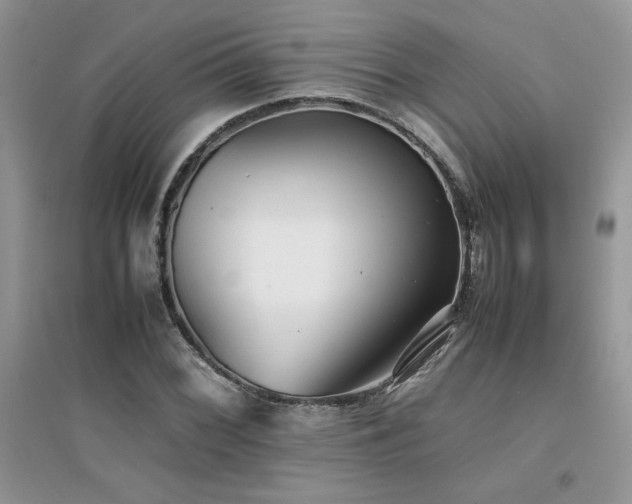 X0000094971068200711291458