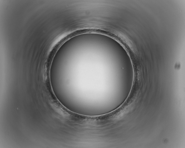 X0000094971069200711291458