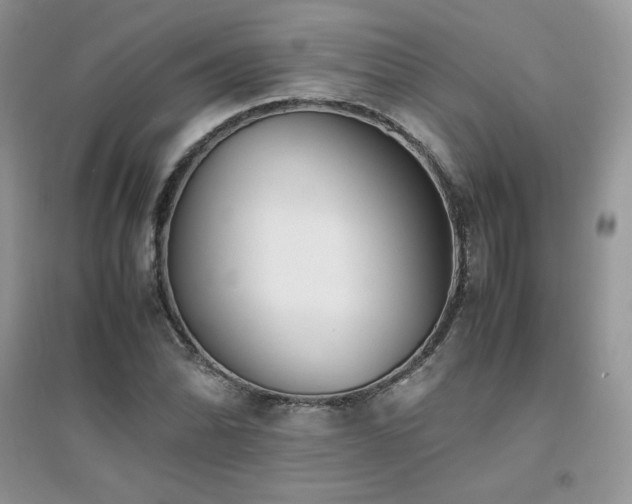 X0000094971070200711291458
