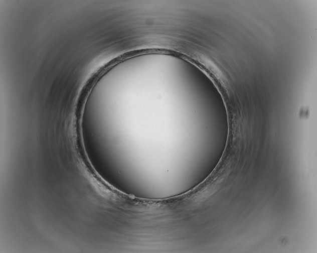 X0000094971072200711291458